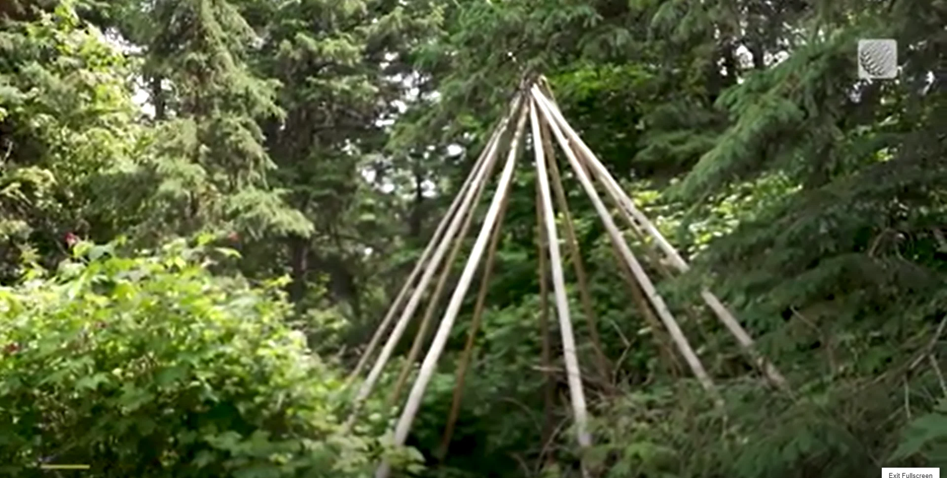 Leur maison, c’est la Terre