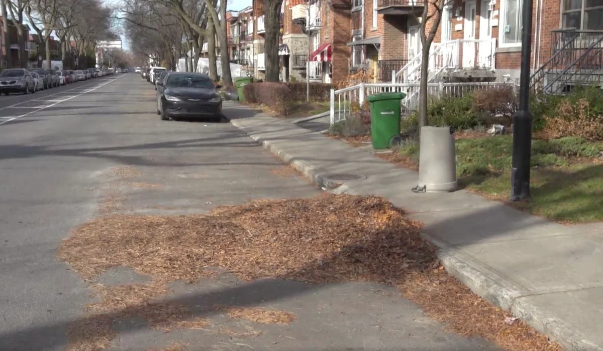 De feuilles mortes à puissant compost