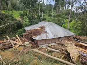 More than 670 feared dead in Papua New Guinea landslide, UN agency says