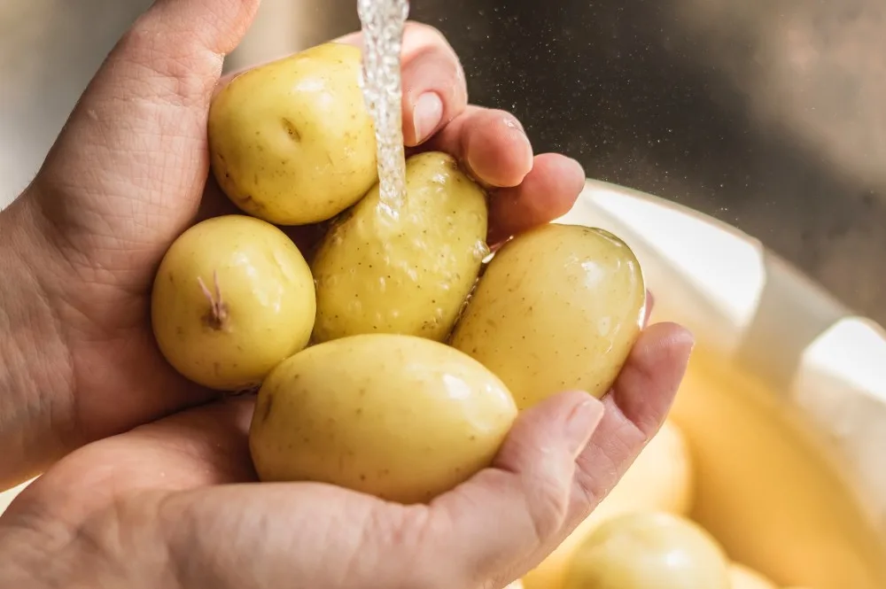 WASHING FRUITS AND VEGGIES: Worth it or worthless? 