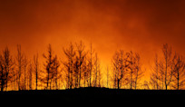 Four killed as wildfires sweep Turkey, villages evacuated