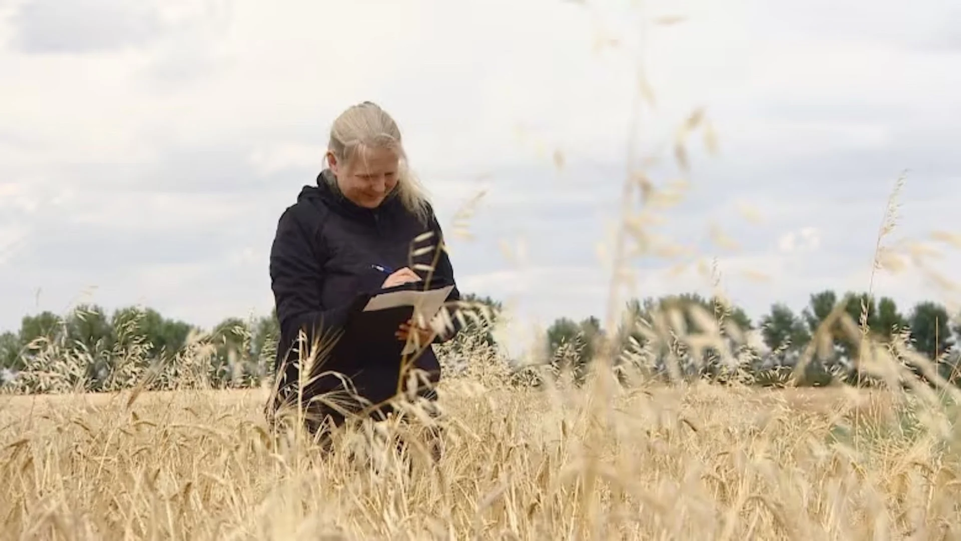 Climate change is impacting weeds on the Prairies. Some people are fighting back