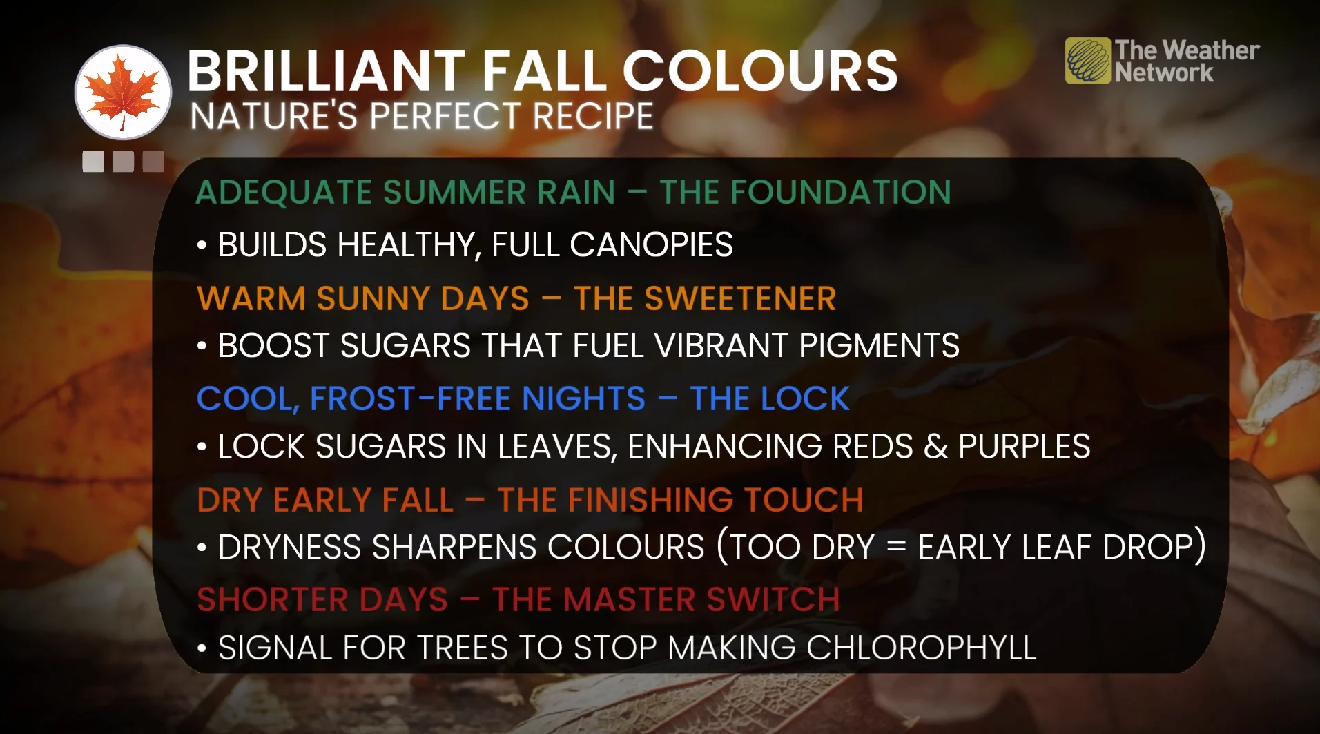 Explainer: Fall colours recipe