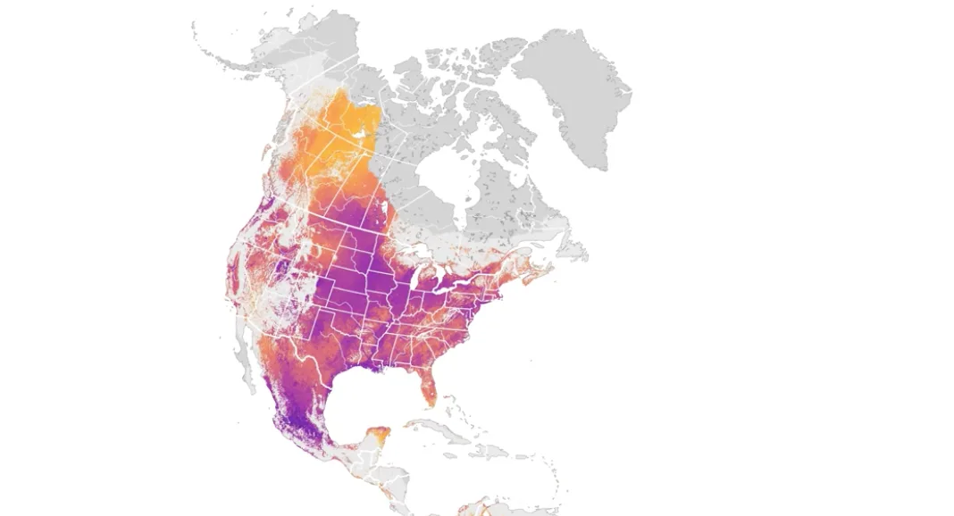 New 3D animated maps show hundreds of bird migrations
