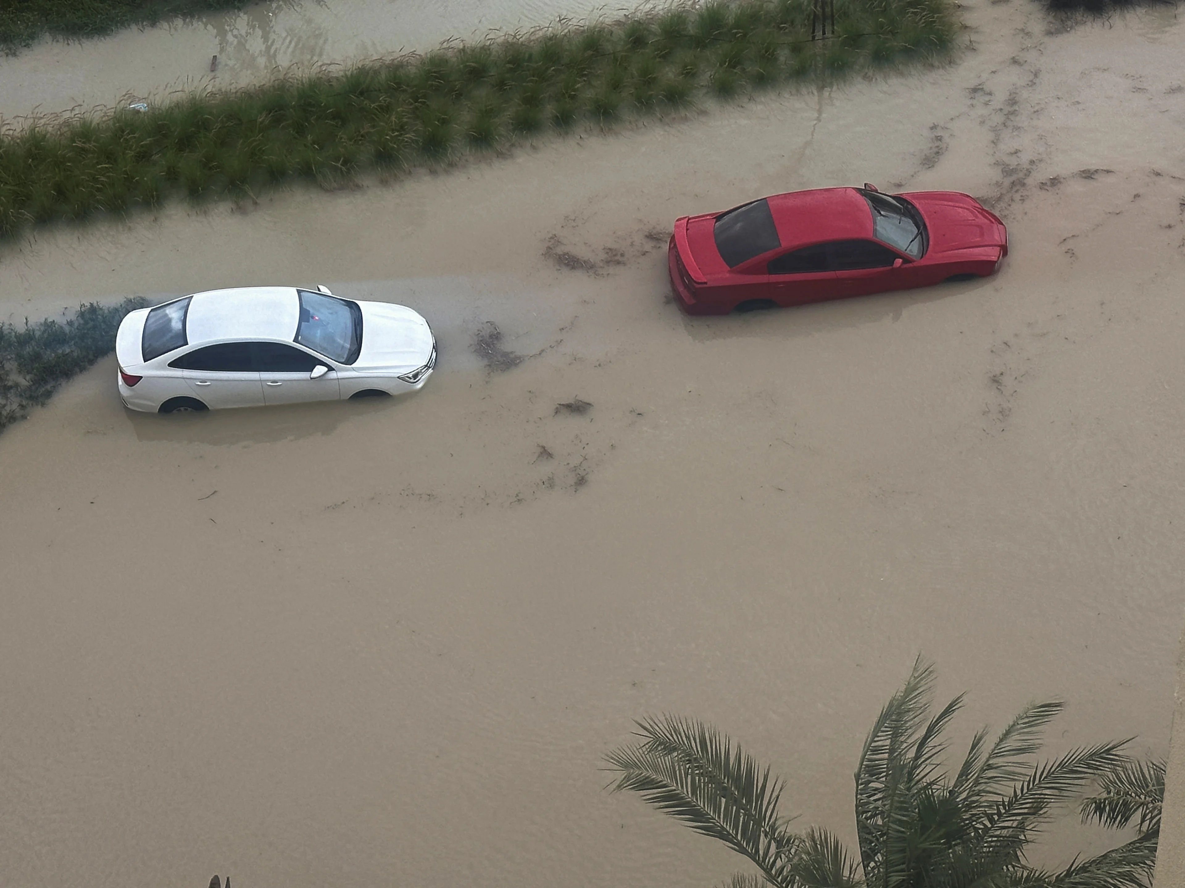 Reuters: Cars are parked at a flooded street during a rain storm in Dubai, United Arab Emirates, April 16, 2024. REUTERS/Abdel Hadi Ramahi