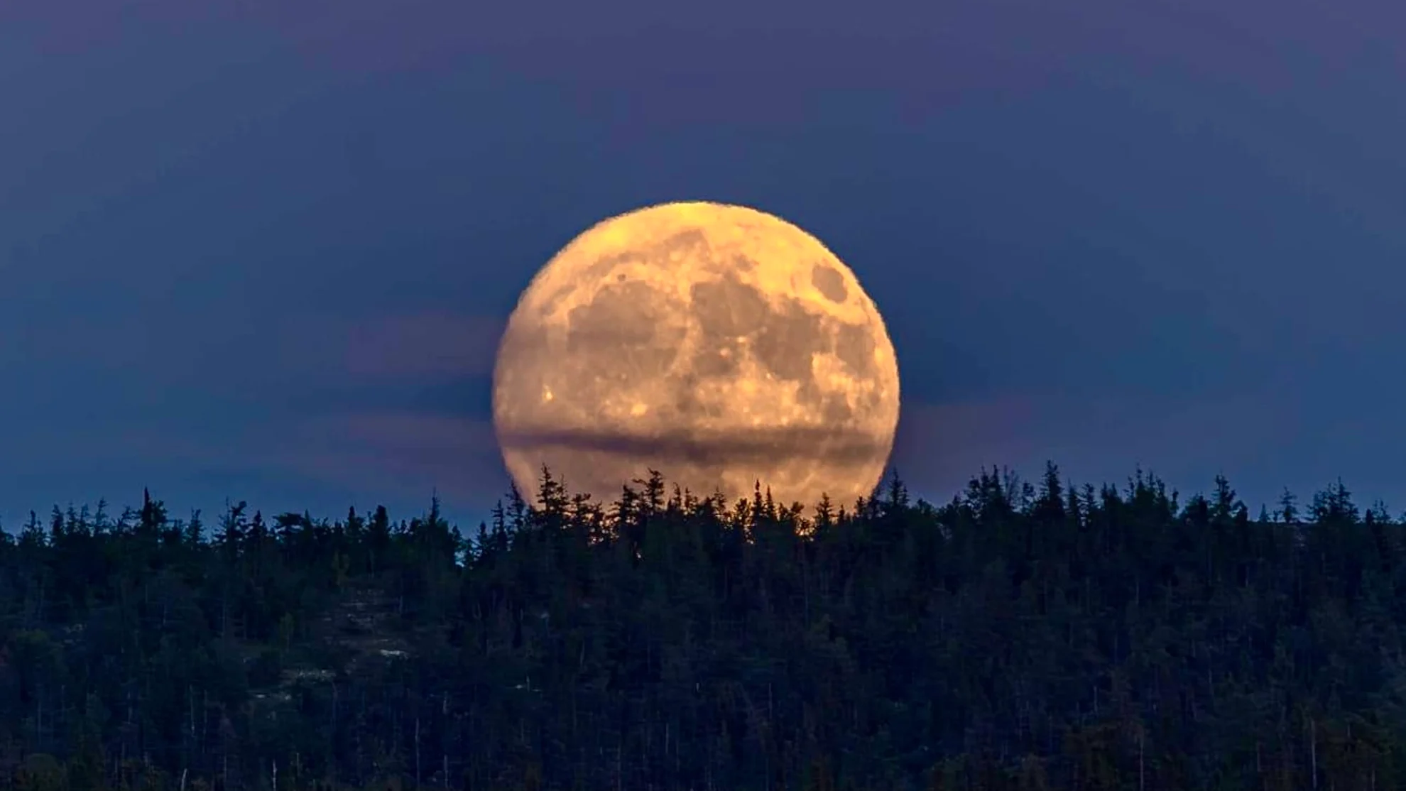 The last Full Moon of spring shines in the sky this week - The Weather ...