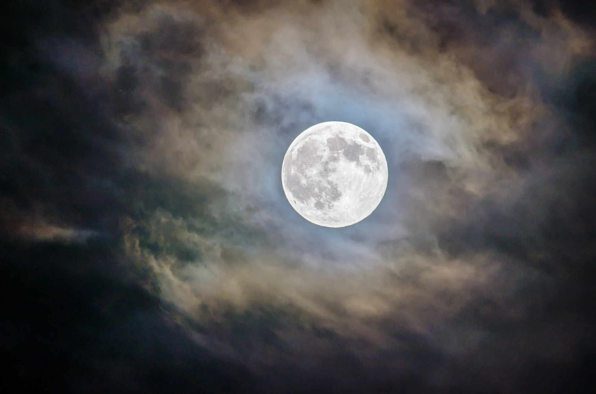 Cinq effets de la pleine lune sur le comportement animal