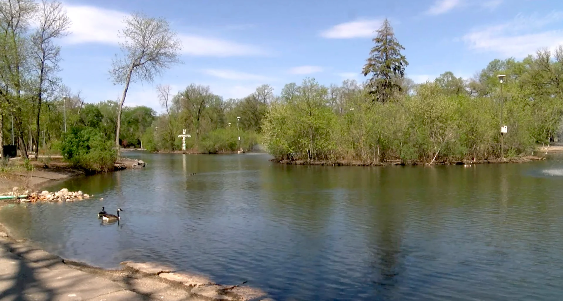 Chris D - Free to use/Freelancer: Winnipeg, Manitoba. Warmth, heat, summer, spring, sun, lake, water, geese. (May 12, 2025)