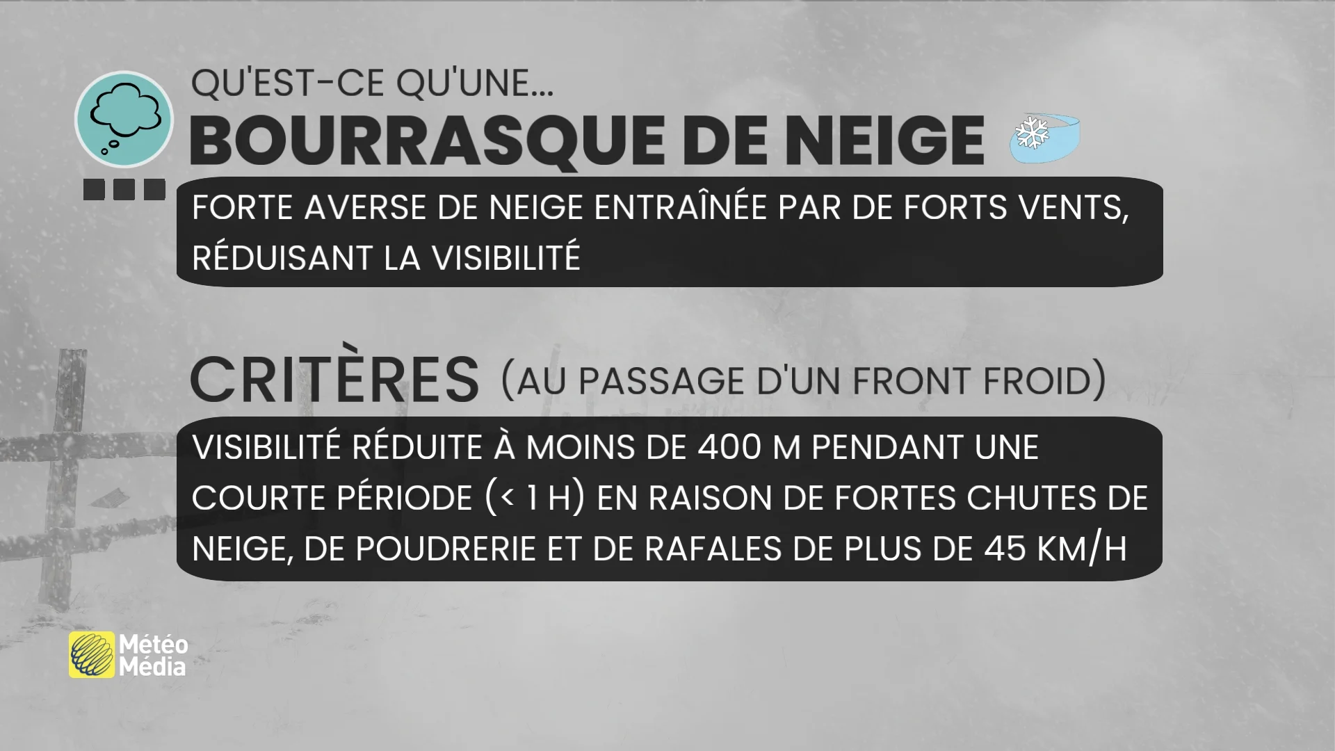 NEIGE3 (9)