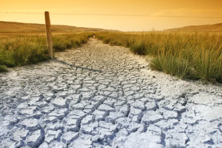 Prairie farmers struggle as drought set to rank among worst in Canadian history