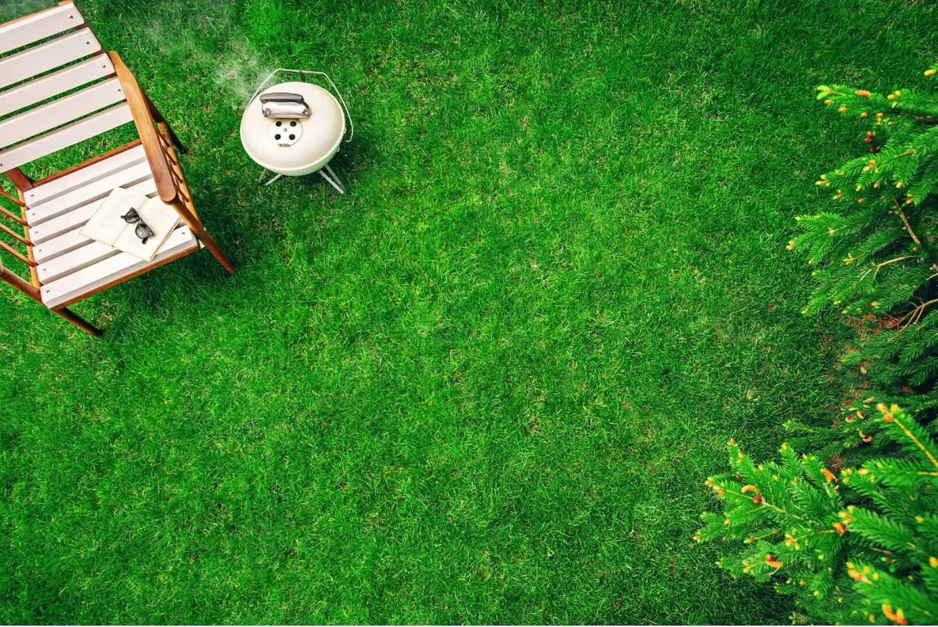 Getty Images: lush green lawn, summer, spring yard