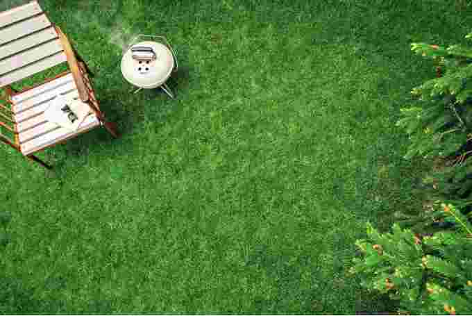 Getty Images: lush green lawn, summer, spring yard