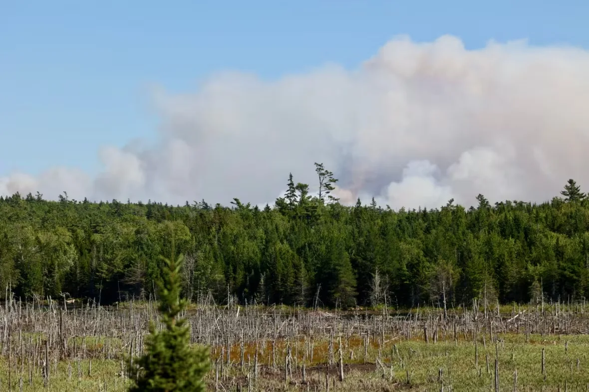 west-dalhousie-wildfire/Jeorg Sadi/CBC
