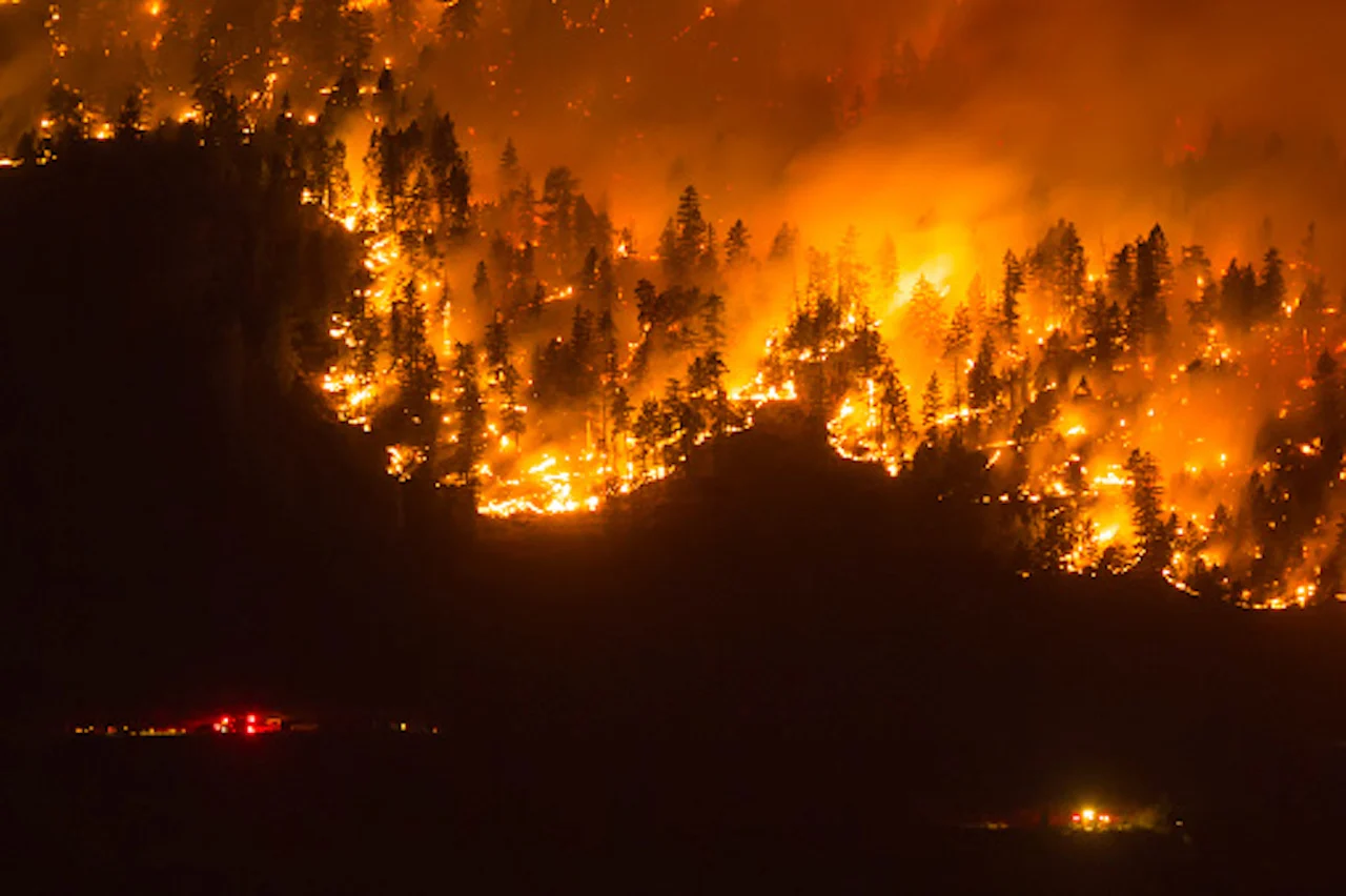 More frequent fires could dramatically alter boreal forests and emit more carbon