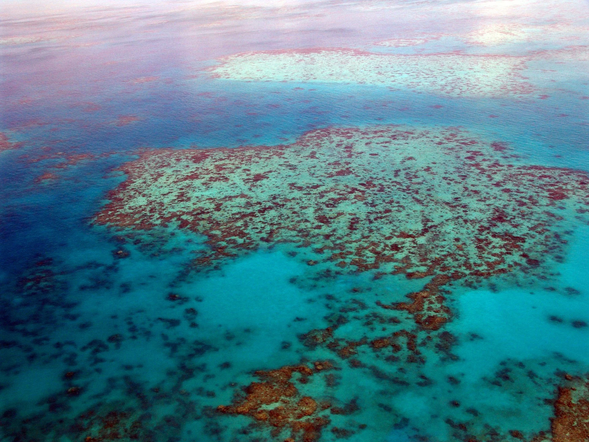 the great barrier reef in Australia. Credit: Pixabay