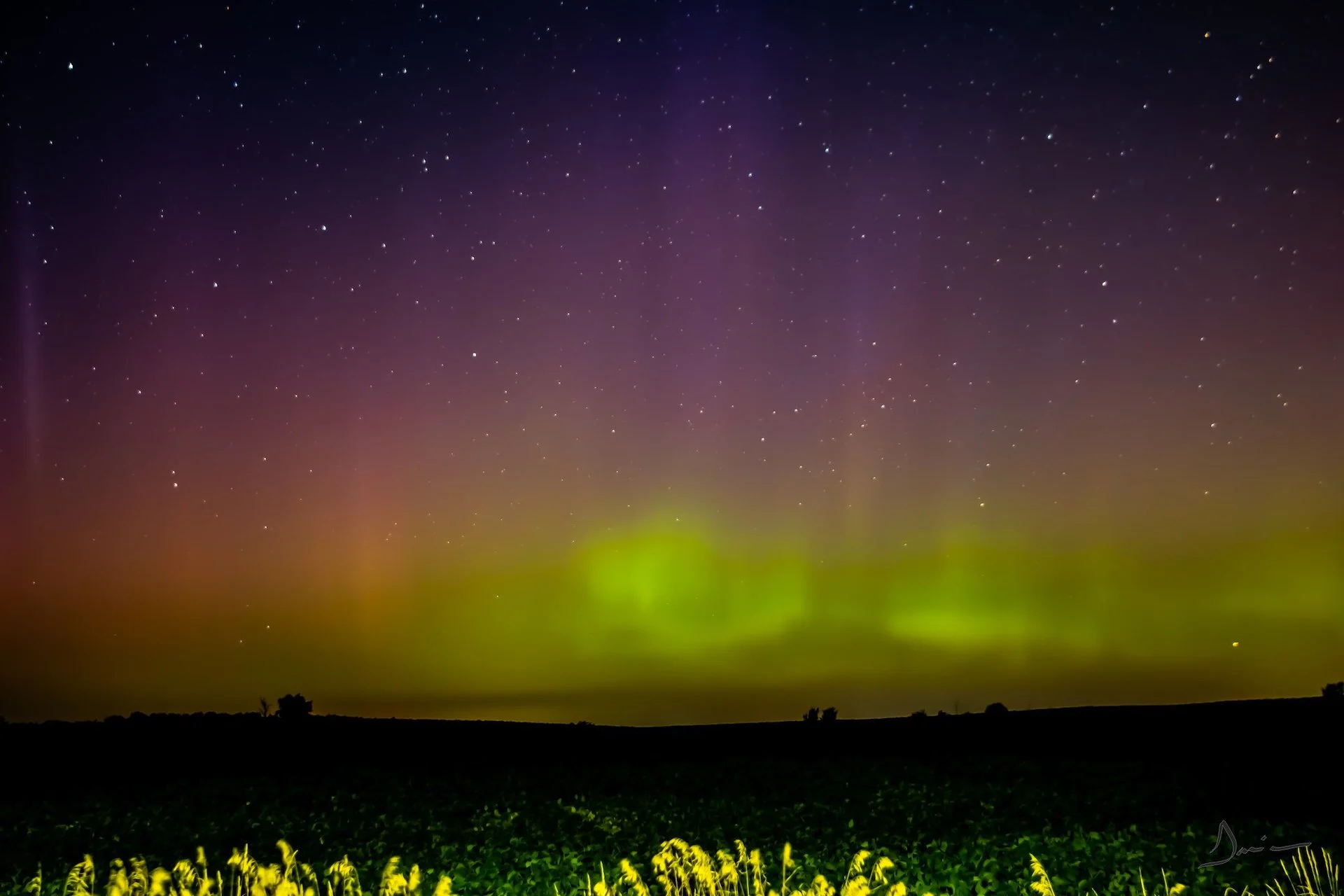 PHOTOS: Stunning auroras on display across Canada during solar storm