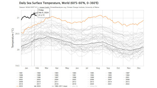 Earth Just Experienced Its Hottest 12 Months In Recorded History The   Daily SST Feb15 2024 ClimateReanalyzer 