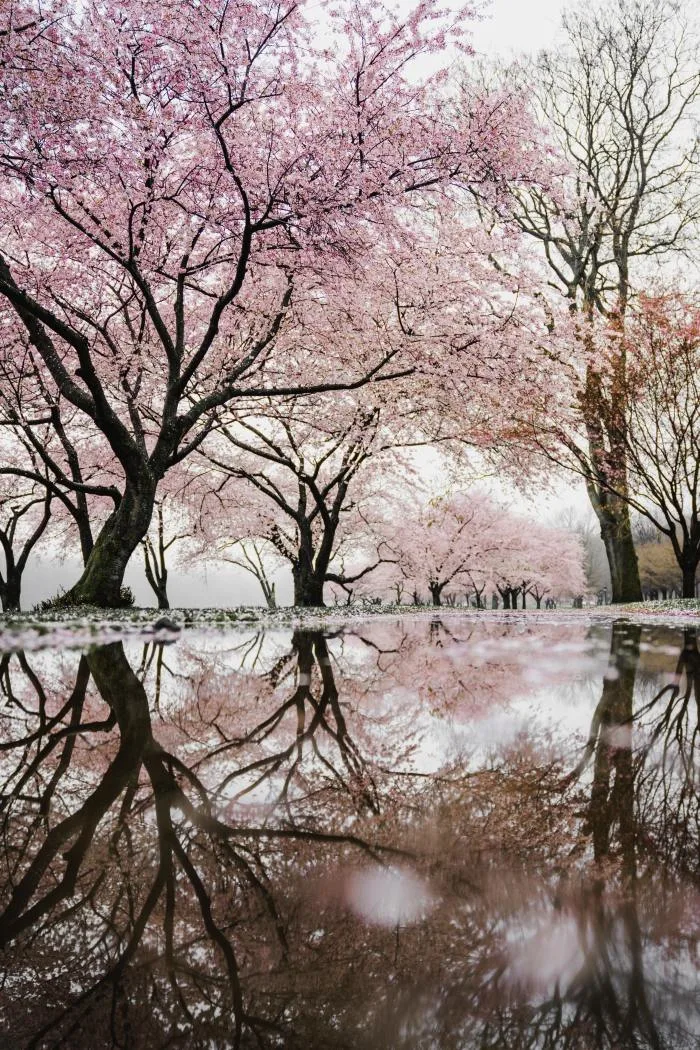 Bonne nouvelle : les adieux du printemps, c'est pour bientôt