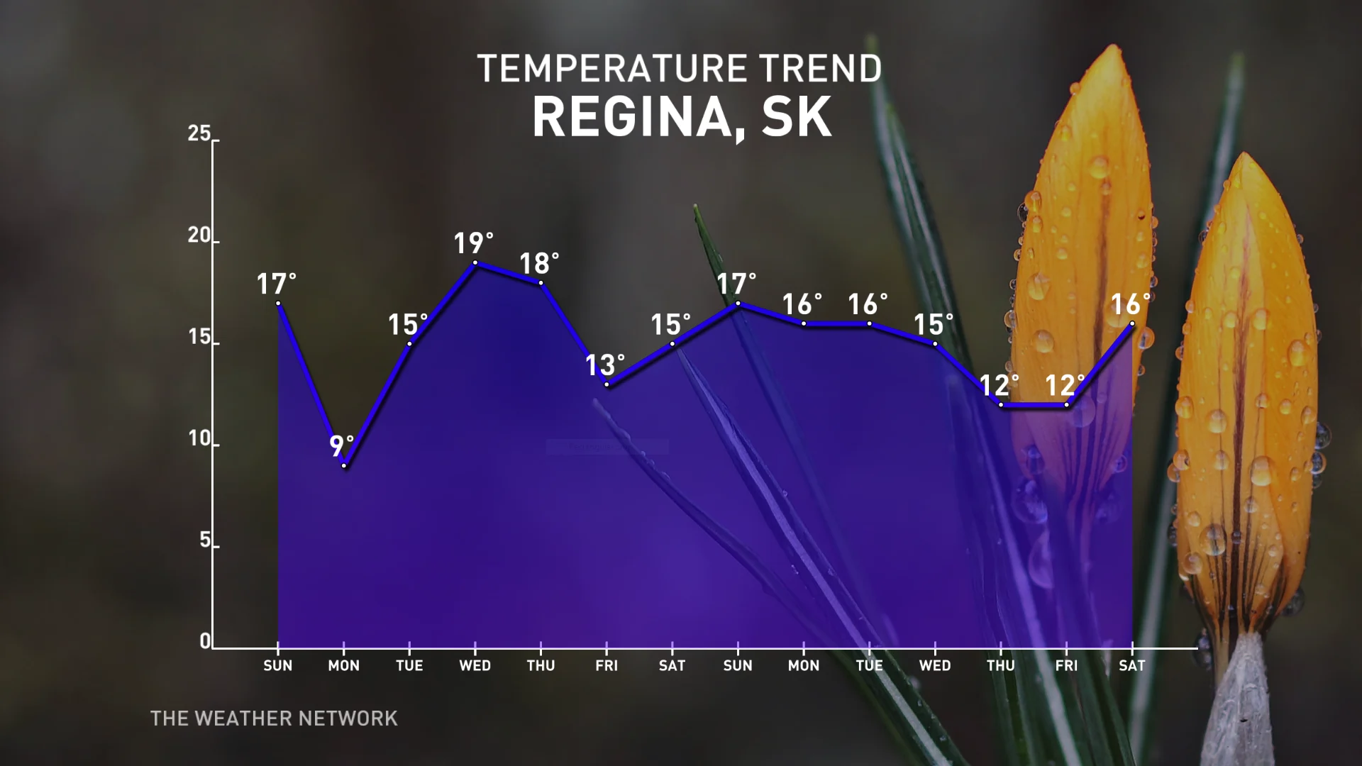 Regina Temperature Trend