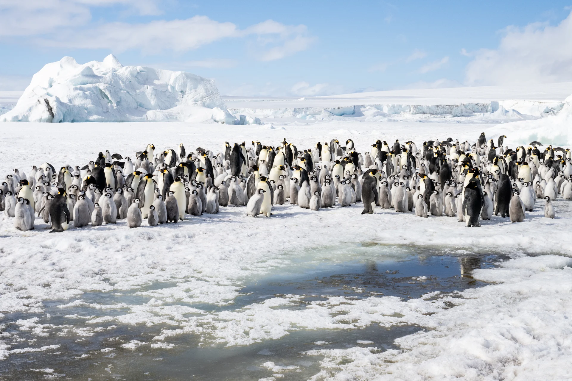 Climate change impacts on Antarctica captured as 'moments etched in time'