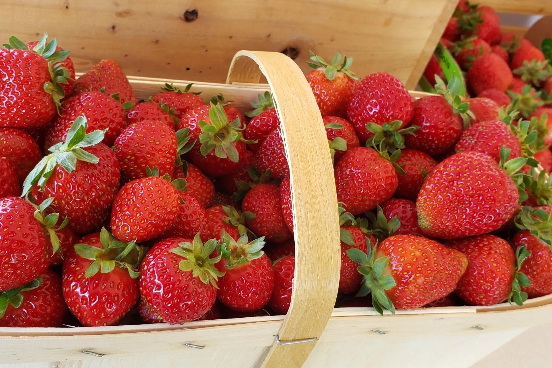 fraises ferme Gadbois