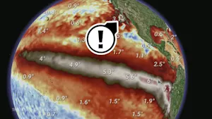 Approaching "planetary-scale Kelvin wave" raises coastal flooding risks for B.C.