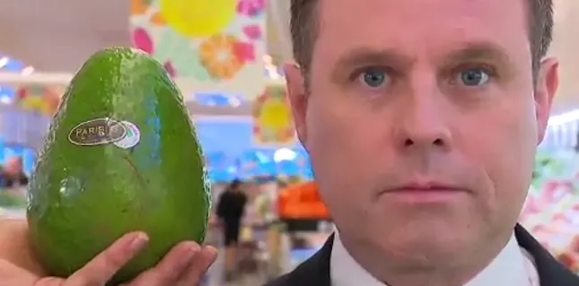 "Avozilla": Giant avocado hits store shelves
