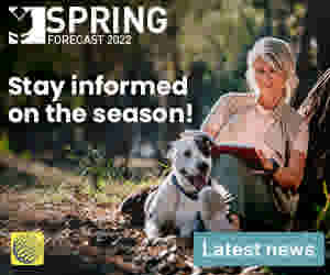 Stay informed on the Spring season. Read our latest news.