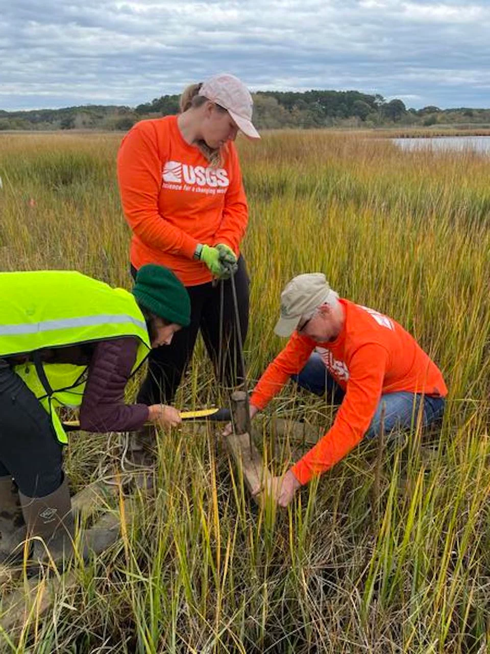 Salt marshes/USGS