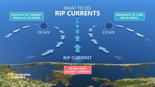 Rip currents are a natural hazard along coasts – here's how to spot them