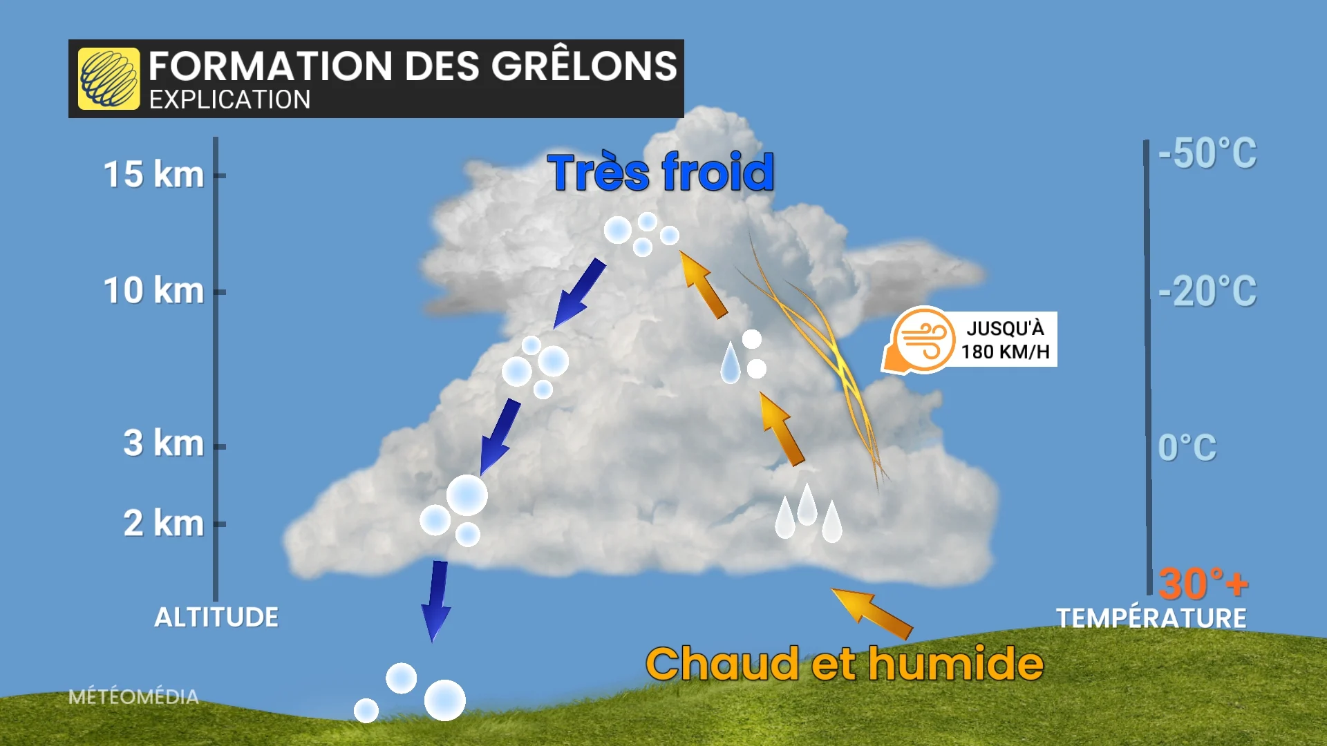 GRELON1
