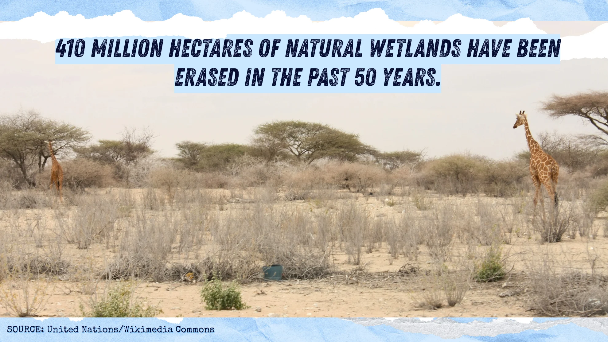 Drought graphic 4