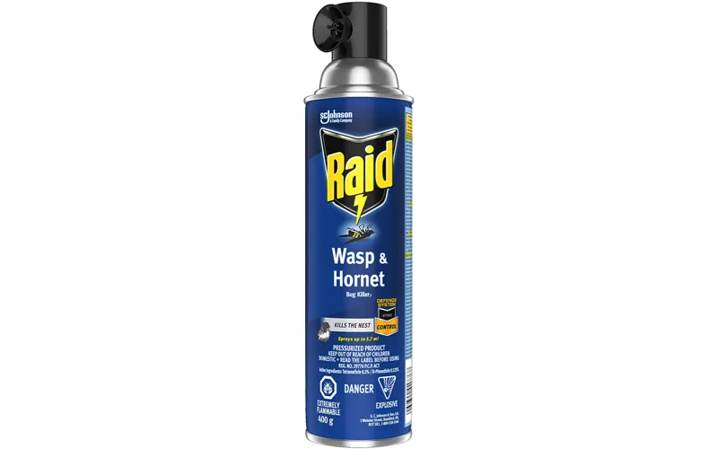 Raid Wasp Spray Amazon