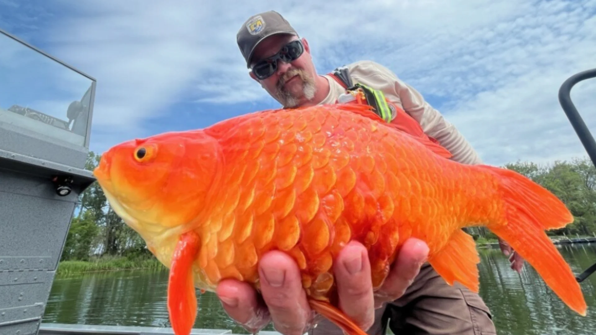 US Fish & Wildlife Service - invasive goldfish