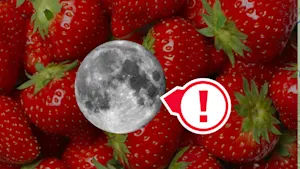 La microlune des fraises, c'est lundi. Détails ici. 