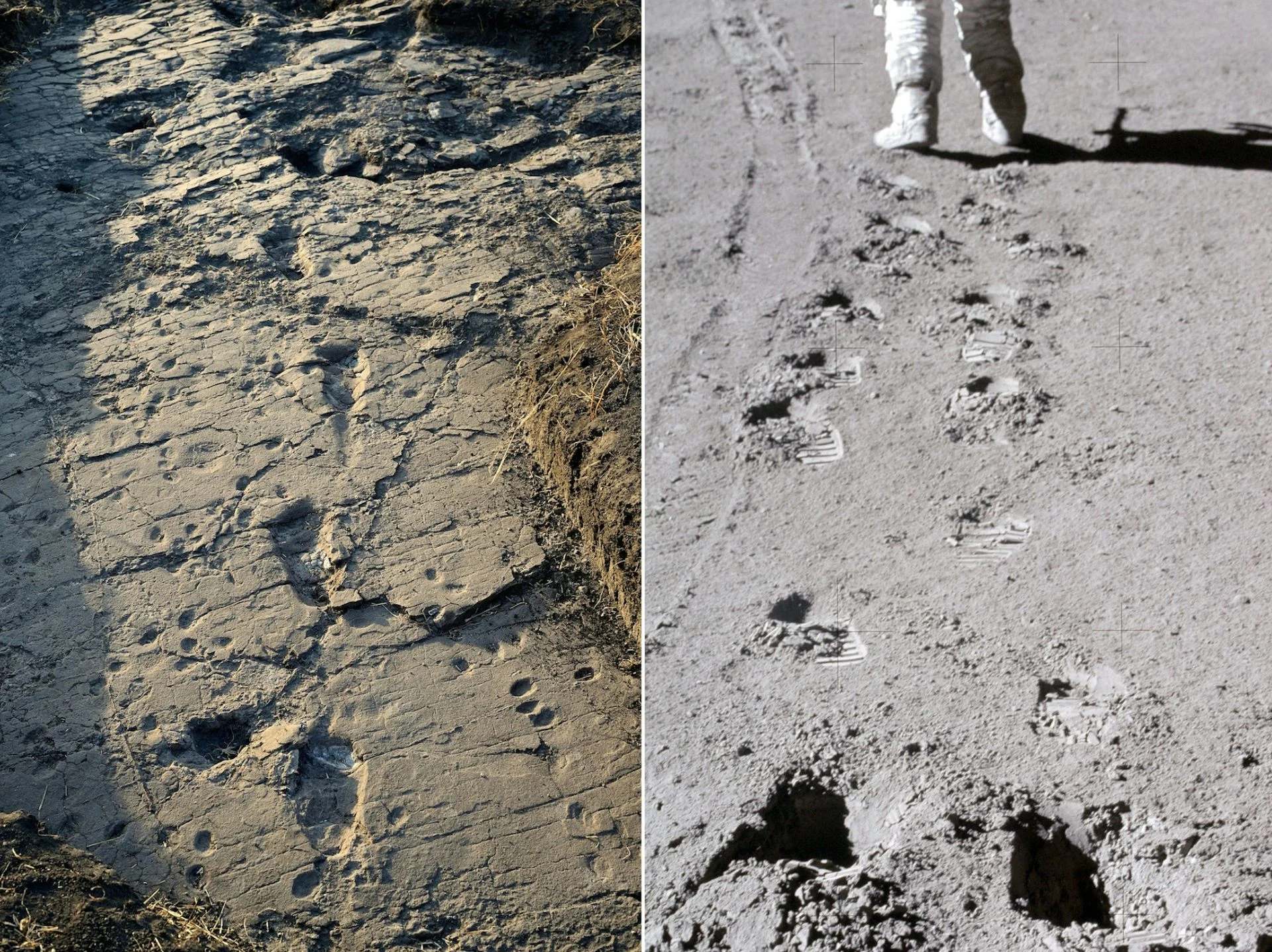 Hominid-footprints-in-Tanzania-vs-Apollo-15-footprints-on-the-Moon