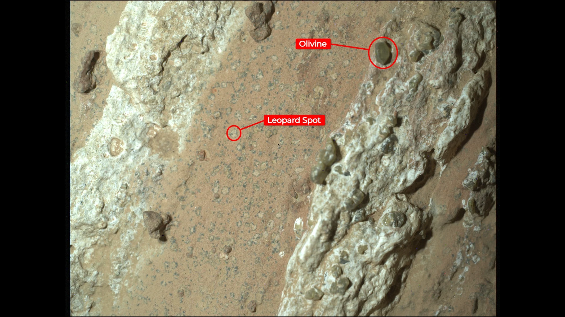 Perseverance Rover Finds a Rock with Leopard Spots - annotated