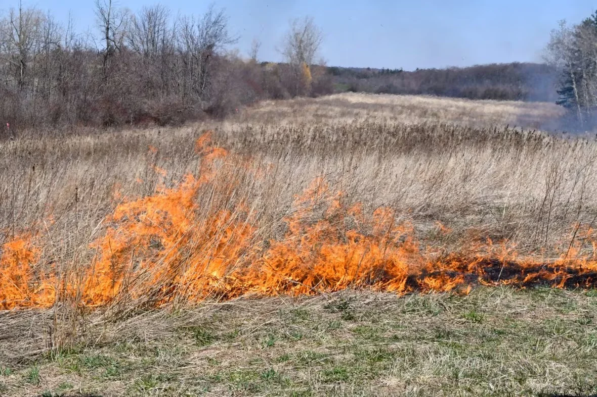 controlled-burn/Bruce trail Conservancy via CBC