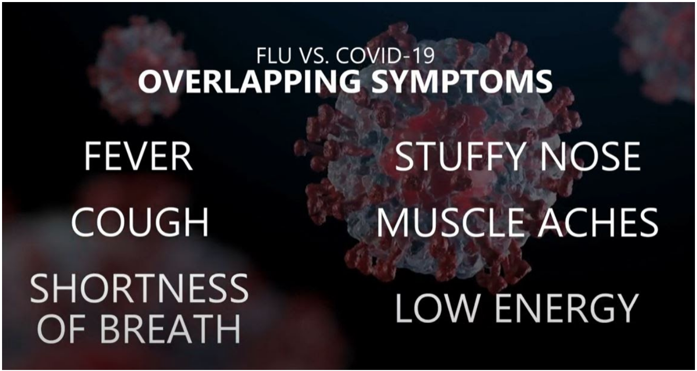 GRAPHIC: Covid vs. Flu