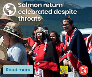 Salmon return celebrated despite threats. Read more on climate solutions, by The Weather Network.