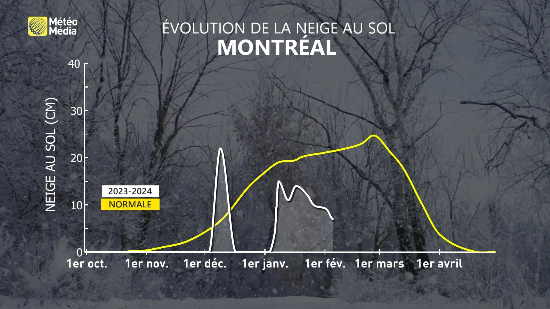 NEIGE3 AU SOL ÉVO
