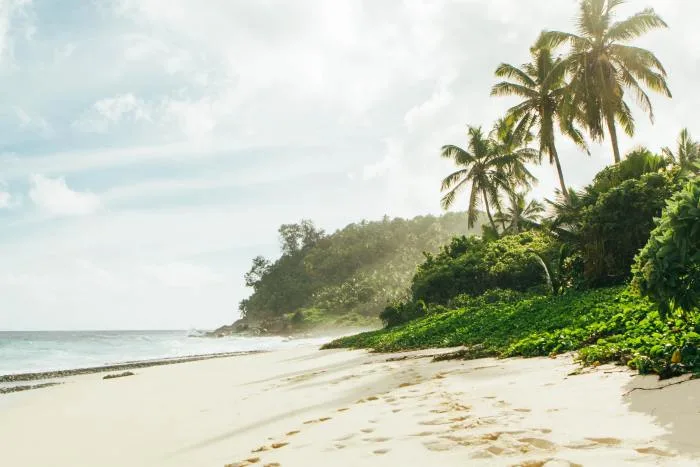 La moitié des plages de la planète pourrait disparaître d'ici 2100