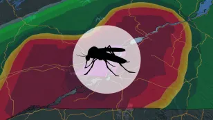 En 2024, les ingrédients sont réunis pour une saison épique des moustiques