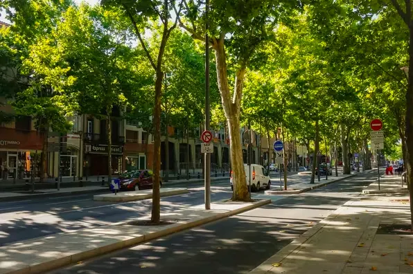 THE CONVERSATION - Trees reduce the temperature in urban areas by providing shade to streets and buildings. (Shutterstock)