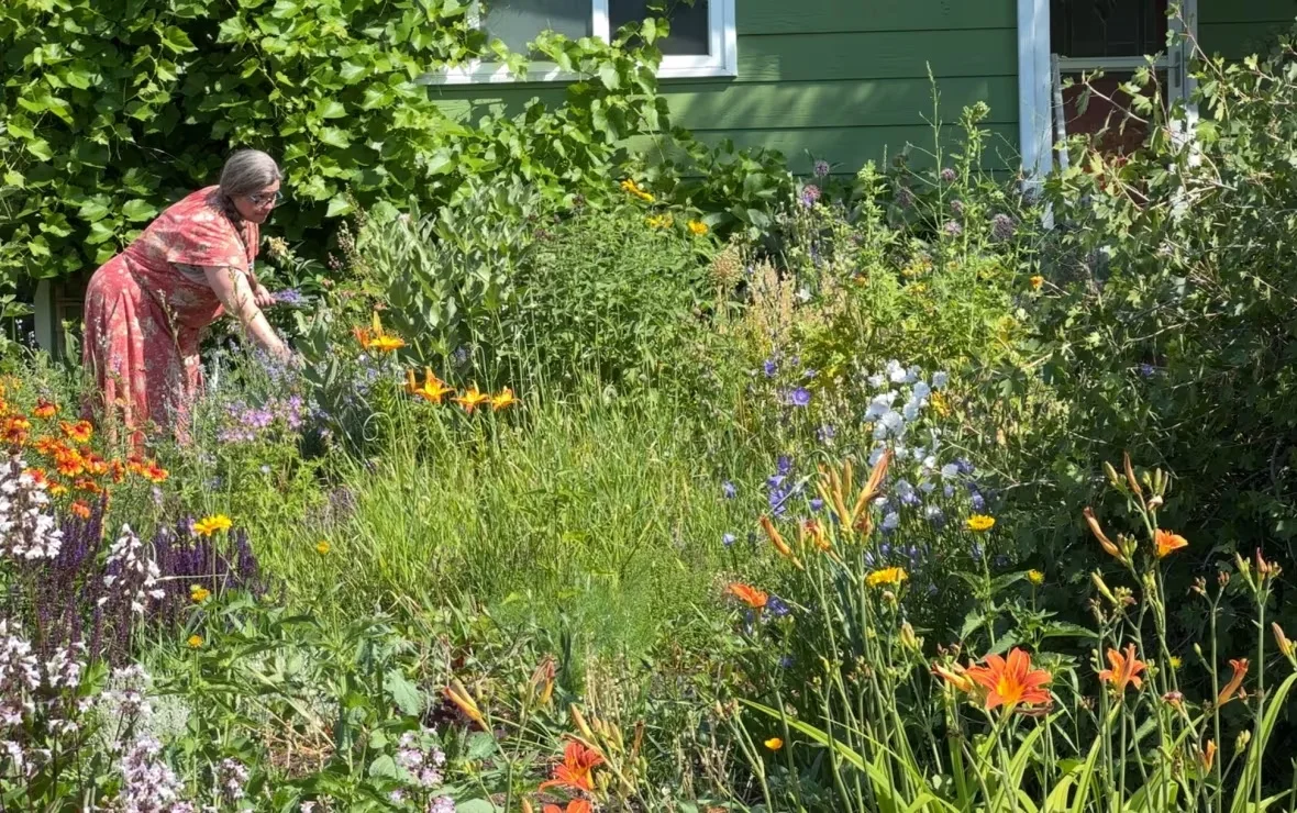 melanie-isles-who-is-known-for-maintaining-a-colorful-drought-resistant-garden-in-calgary/Dan McGarvey/CBC