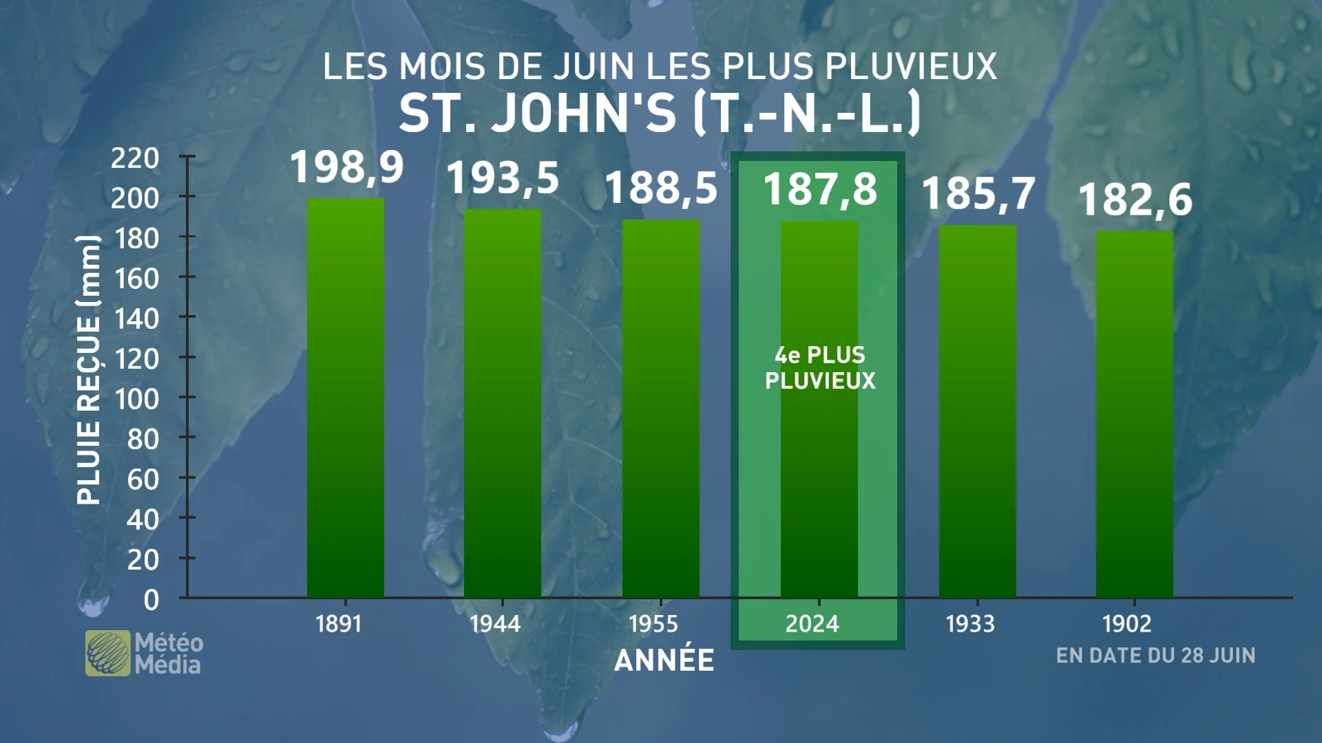 PLUIE3 (4)