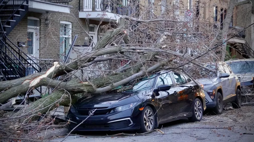 CBC: A car was damaged on 8th Avenue in Montreal after strong winds and thunderstorms hit the city on Tuesday evening. (Simon-Marc Charron/Radio-Canada)