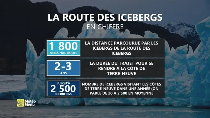 ICEBERG2