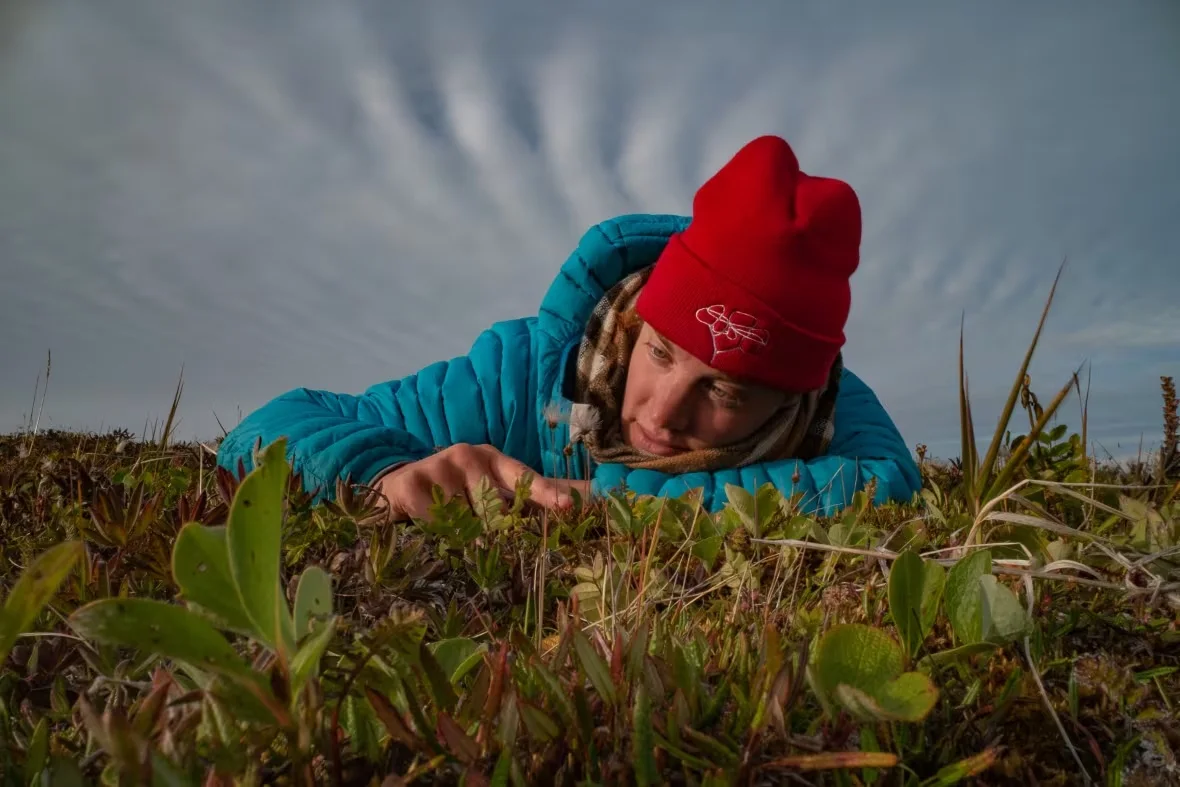 isla-myers-smith/Jeff Kerby via CBC News