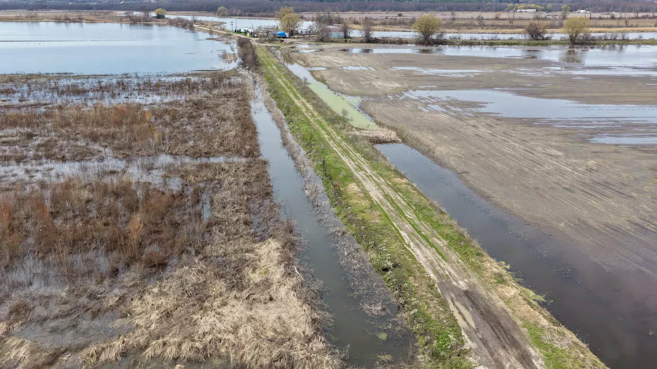 Holland Marsh flooding/Patrick Morrell/CBC News